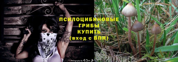 spice Рославль