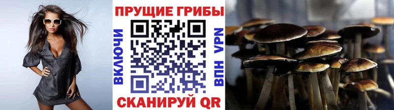 blacksprut как войти  darknet Telegram  Галлюциногенные грибы Magic Shrooms  закладка  Кадников 