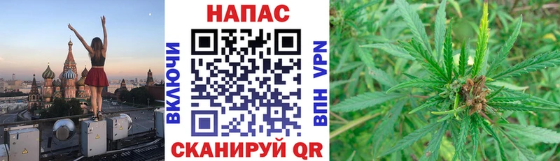 Шишки марихуана Ganja  Кадников 